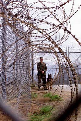 fema-camp-soldier-dog-fence.jpg